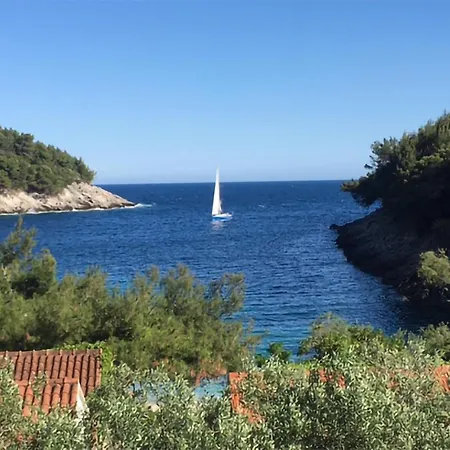 Lovely In With House Sea View